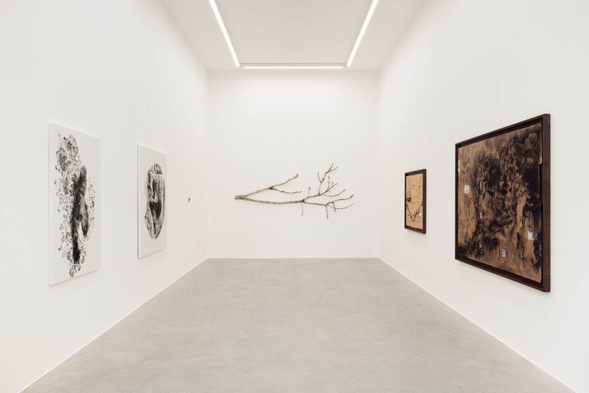<i>Piante Vagabonde,</i> 2026 </br>
installation view,  kaufmann repetto, milan