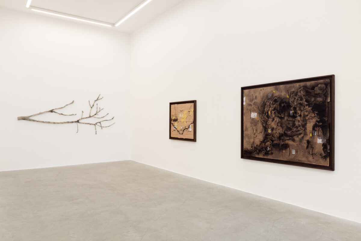 <i>Piante Vagabonde,</i> 2026 </br>
installation view,  kaufmann repetto, milan