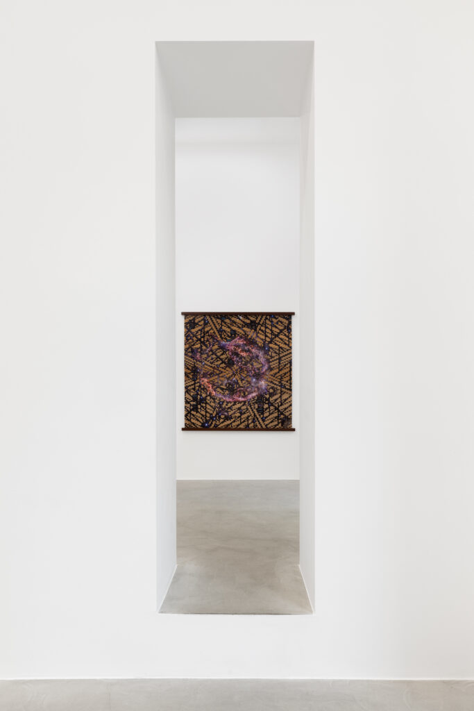 <i>Piante Vagabonde,</i> 2026 </br>
installation view,  kaufmann repetto, milan