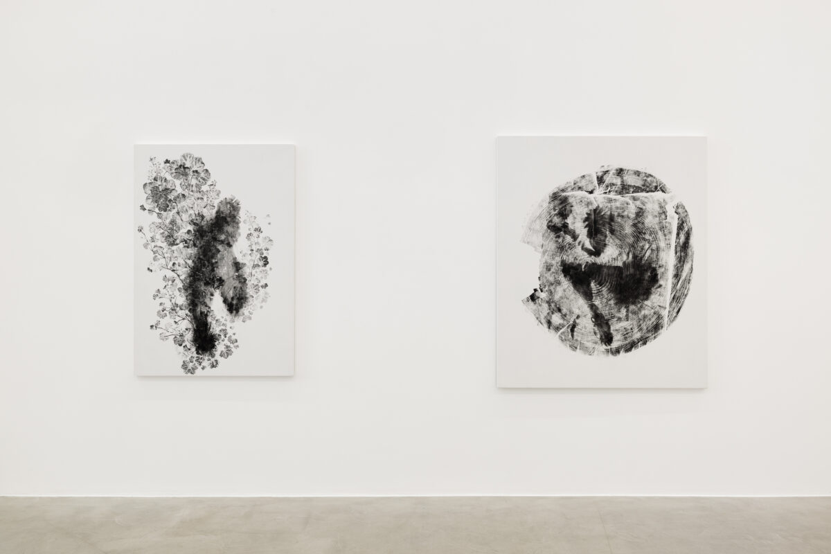 <i>Piante Vagabonde,</i> 2026 </br>
installation view,  kaufmann repetto, milan