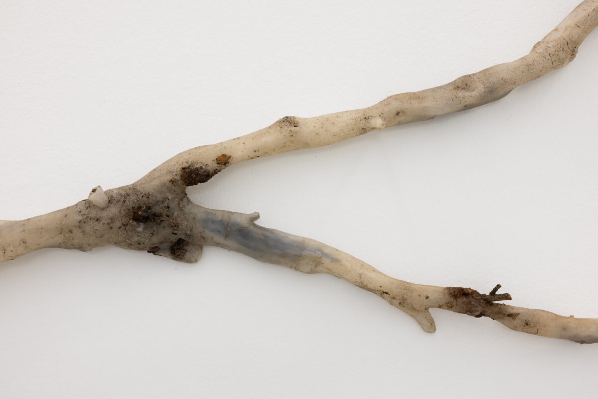 <i>Rising Temperature Casualty (Prunus persica var. nucipersica, home garden, Los Angeles)</i>, 2021 </br>
silicone, black pigment, and tree bark</br>detail