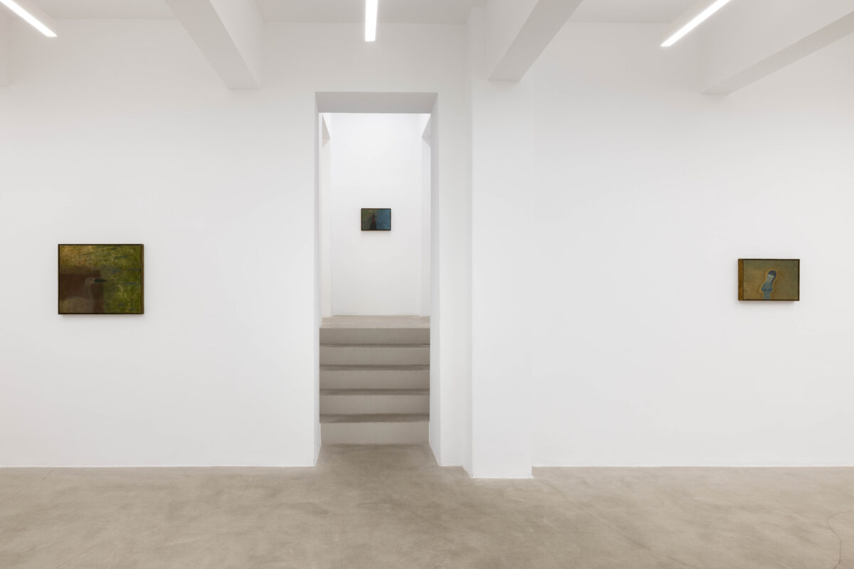 <i>Smell of the Lawn,</i> 2026 </br>
installation view,  kaufmann repetto, milan