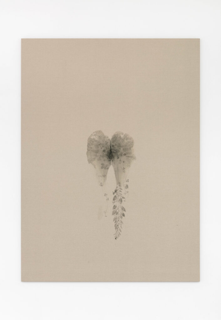 <i>Piante vagabonde: bardana, fragole selvatiche ed erba muraiola, Roma</br>Weeds: Burdock, Wild Strawberries, and Sticky Weed, Rome</i>, 2025 </br>
oil-based printing ink on canvas</br>
203 x 149 x 5 cm / 79.9 x 58.7 x 2 in