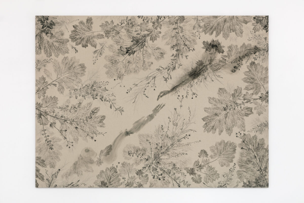 <i>Piante vagabonde: Acanthus mollis, Atwater, Los Angeles</i>, 2026 </br>
oil-based printing ink on canvas</br>
149 x 203 x 5 cm / 58.7 x 79.9 x 2 in