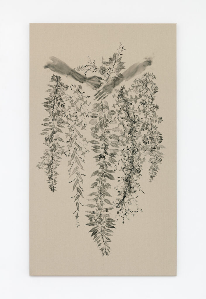 <i>Piante vagabonde: prickly lettuce and sticky weed, Echo Park, Los Angeles</i>, 2026 </br>
oil-based printing ink on canvas</br>
150 x 87 x 5 cm / 59.1 x 34.3 x 2 in