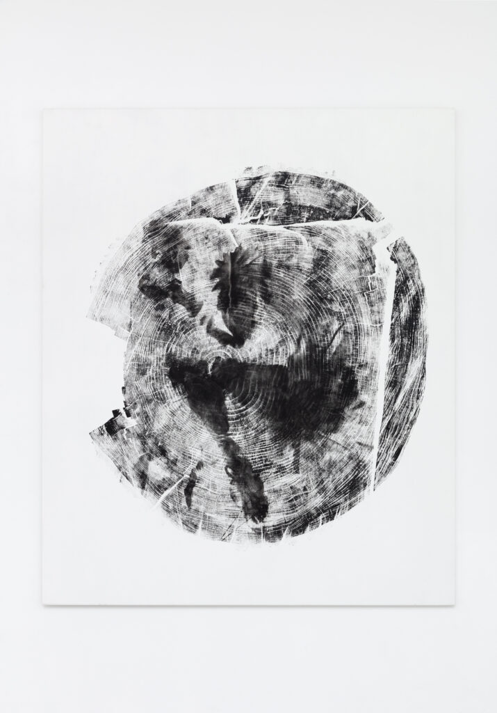 <i>Climate Witness (Cedro Deodar, Alhambra)</i>, 2025 </br>
oil-based printing ink on canvas</br>
155 x 129 x 5 cm / 61 x 50.8 x 2 in