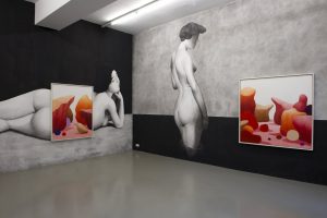 <i>pastel et nu</i>, 2015
</br>
installation view, centre culturel suisse de paris, paris