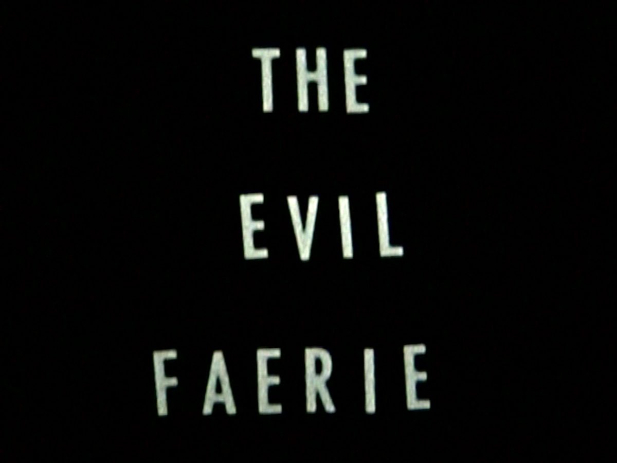 <i>the evil faerie</i>, 2007 
</br>
video, color, sound, 1'12''
>