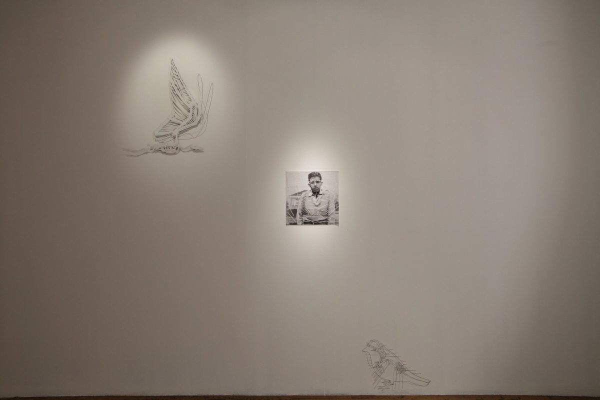 <i>Maggie Cardelus</i>, 2012
</br>
installation view, museum of modern art, moscow>