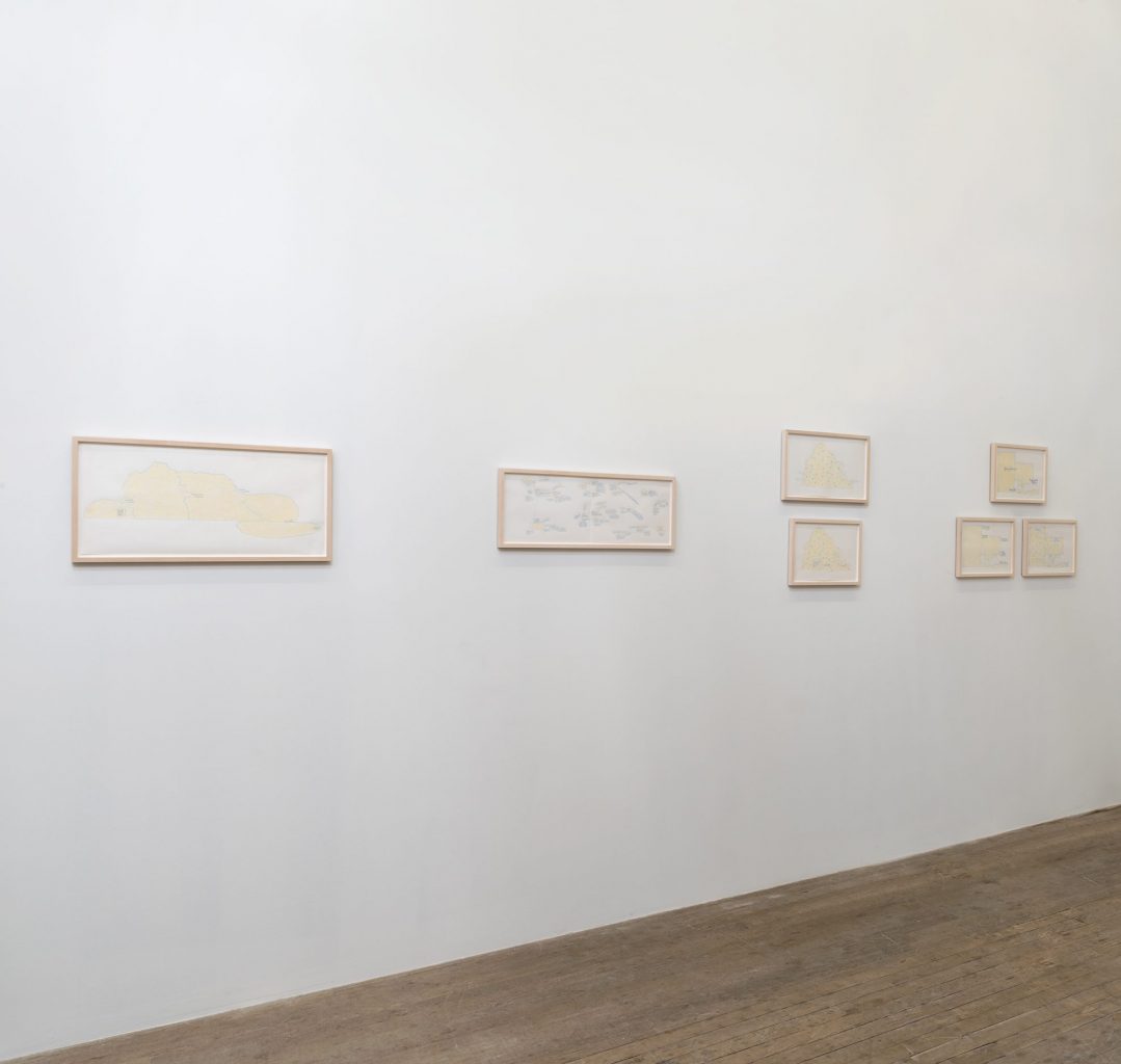 exhibition of the medicines, installation view, kaufmann repetto, new york, 2019