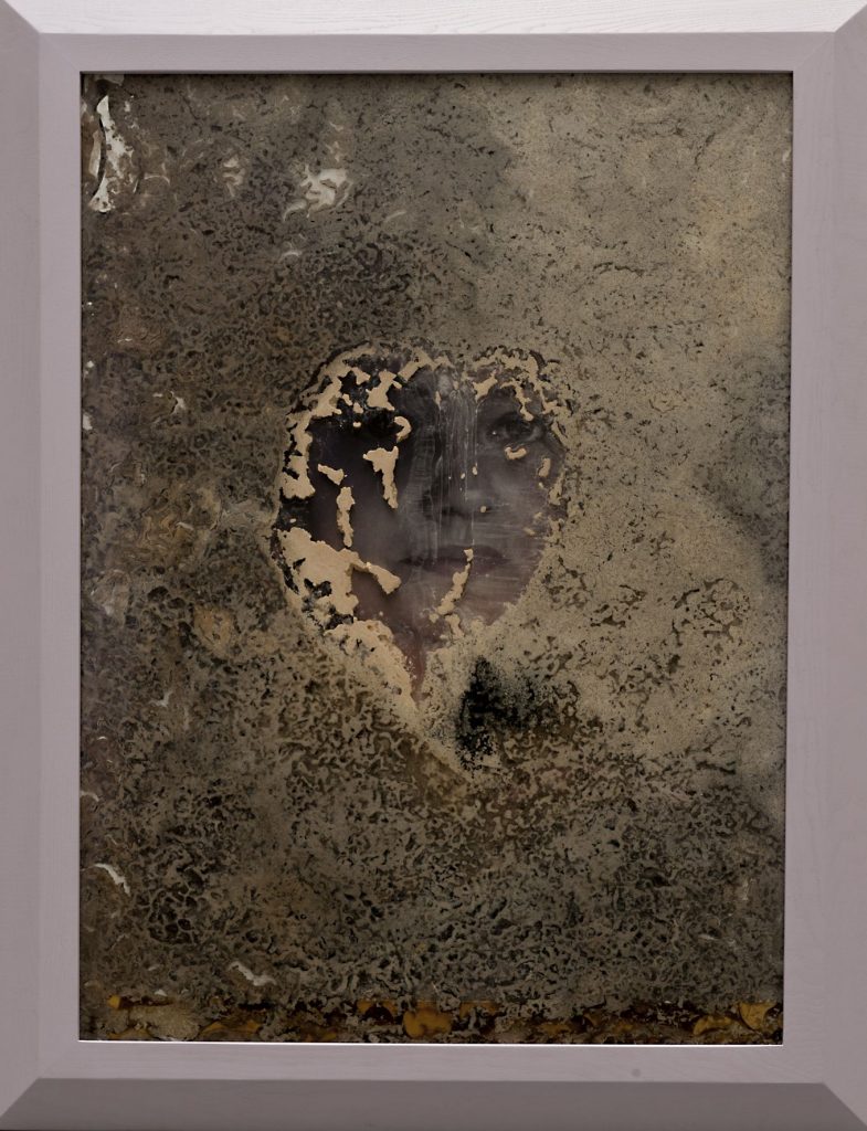 <I>laura's great great grandmother</I>, 2011
</br>
incised plastic with printed image, sourdough, glass, wood
</br>
119 x 92,5 cm / 46.8 x 36.4 in>