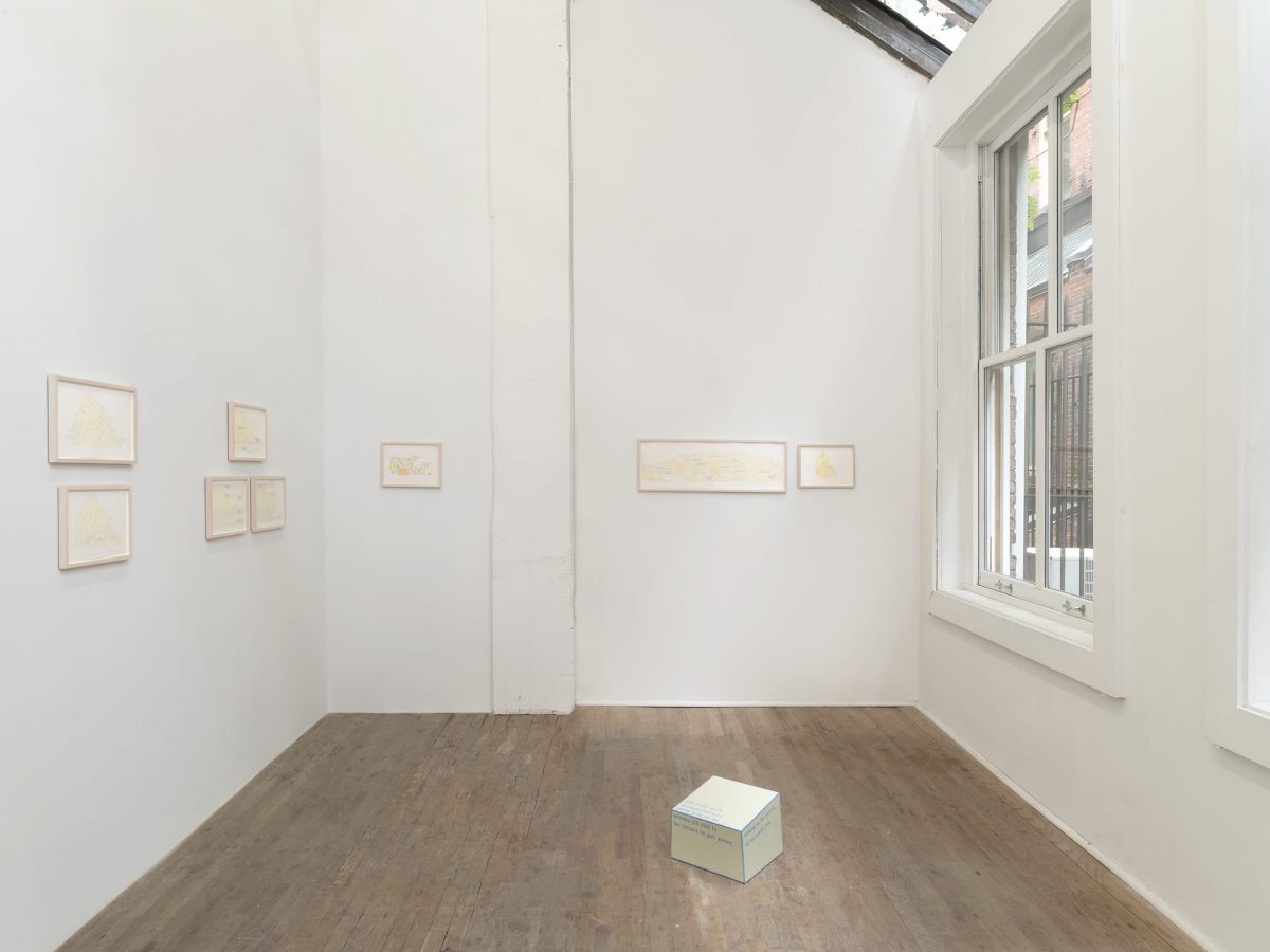 exhibition of the medicines, installation view, kaufmann repetto, new york, 2019