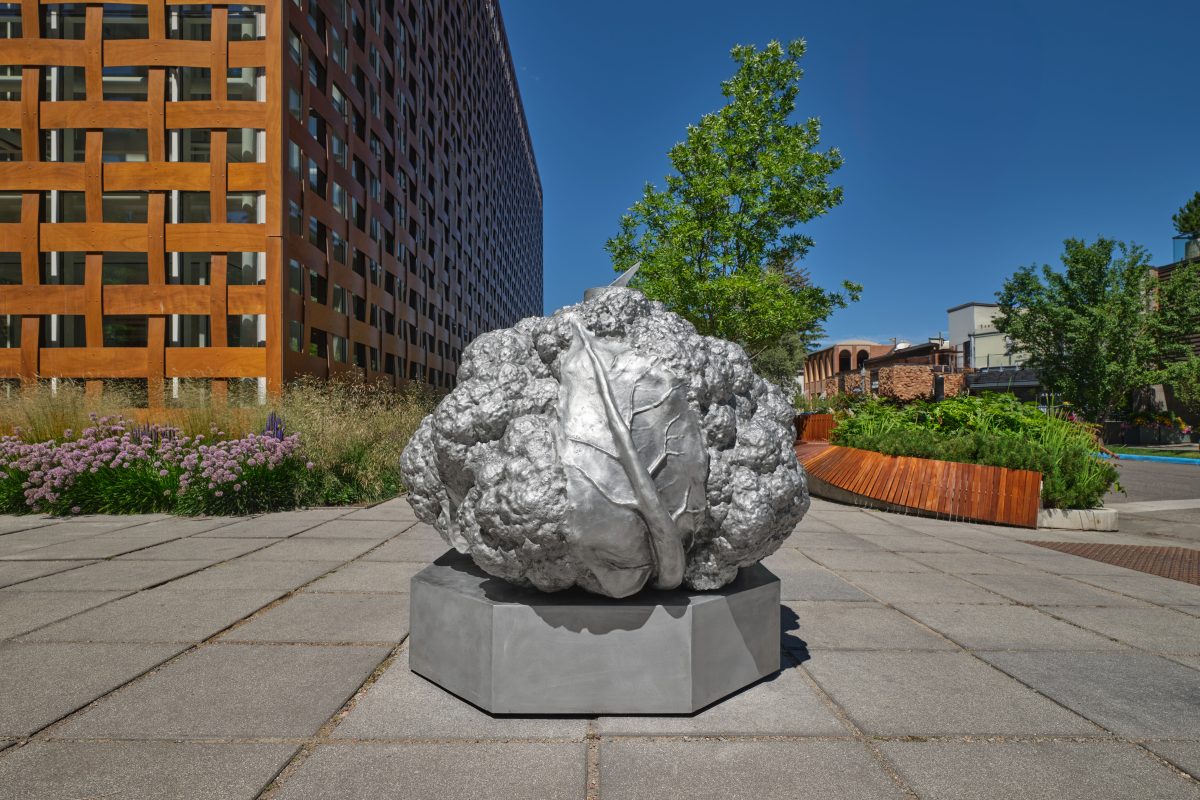 <i>Anthea Hamilton, Cauliflower Sundial</i>, 2025
</br> installation view, Aspen Art Museum, Aspen>