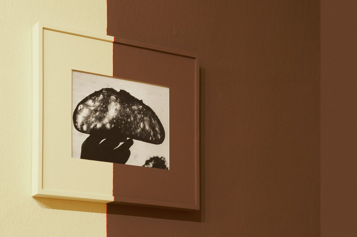 <I>slice of space</I>, 2011
</br>
photographs, wood frame, house paint
</br>
33,5 x 41 cm / 13.2 x 16.1 in>
