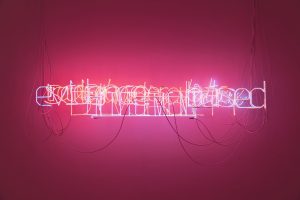 <i> forbidden words illuminated</i>, 2018 
</br>
neon lights, nylon, metacrylate