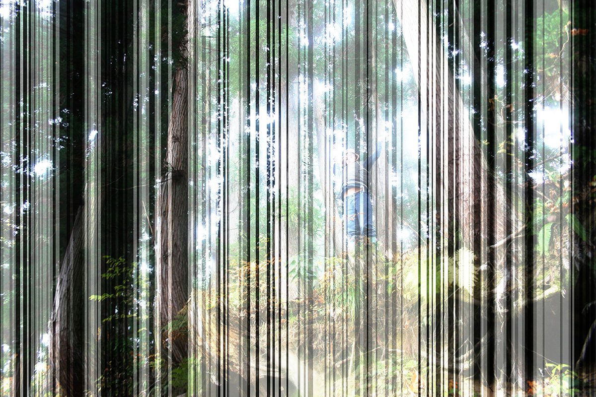 <I>echigo forest with zoo</I>, 2008
</br>
four layers of cut out photographs, 100 x 150 cm / 39.4 x 59 in >