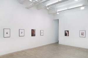 <i>talia chetrit</i>, 2016
</br>
installation view, kaufmann repetto, new york