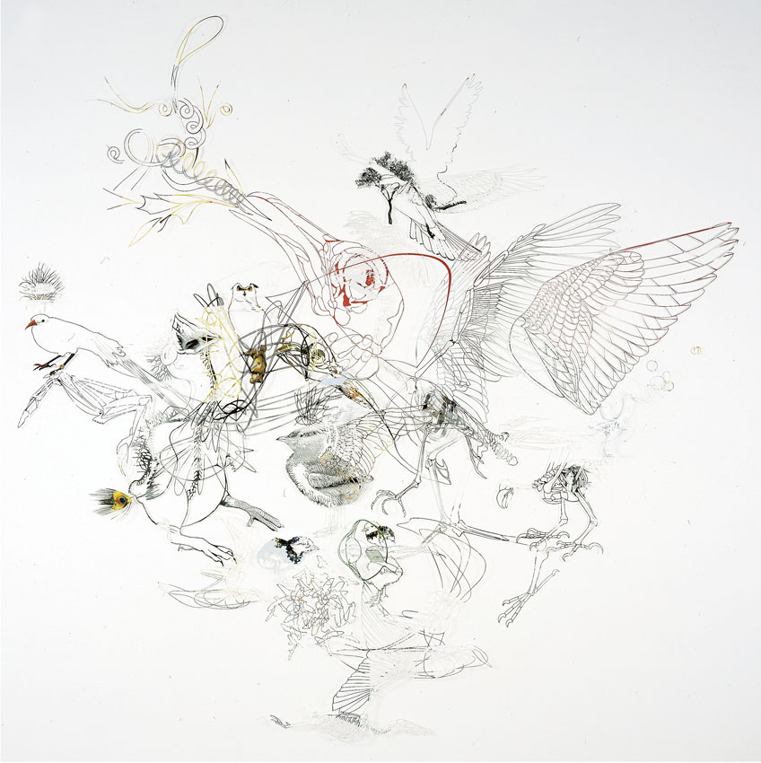 <I>bird people</I>, 2004
</br>
cut out photographs, 200 x 200 cm / 78.7 x 78.7 in>