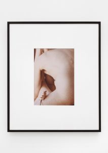 <i>untitled (sex #5)</i>, 2016
</br>
framed inkjet print, 71 x 61 cm / 28 x 24 in 