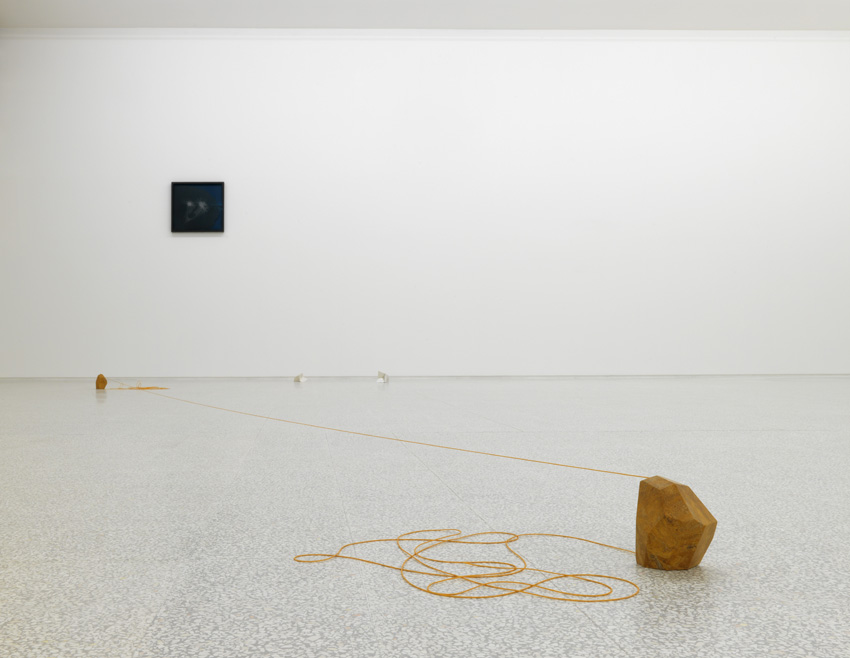 <i>arte essenziale (essential art)</i>, 2011
</br>
installation view, collezione maramotti, reggio emilia>