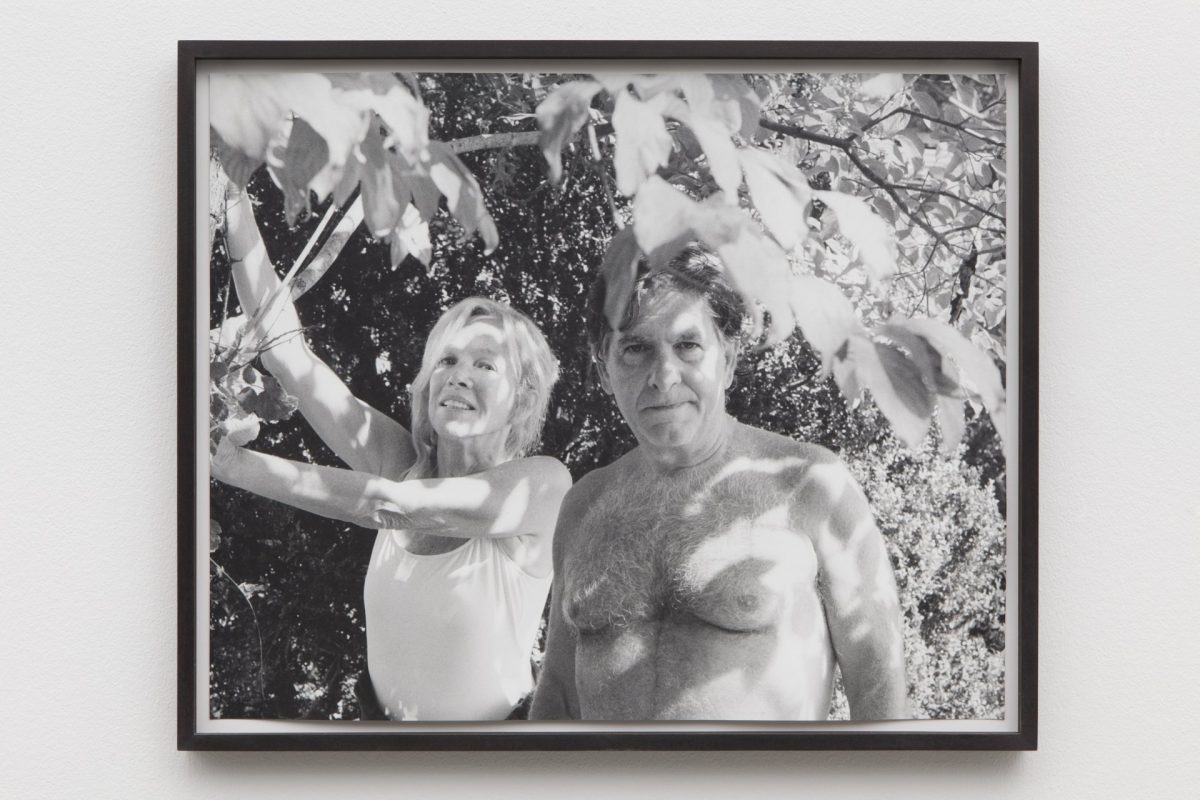 <i>parents/trees</i>, 2014
</br>
silver gelatin print, 53,8 x 65,4 x 3 cm / 21.2 x 25.7 x 1.2 in>