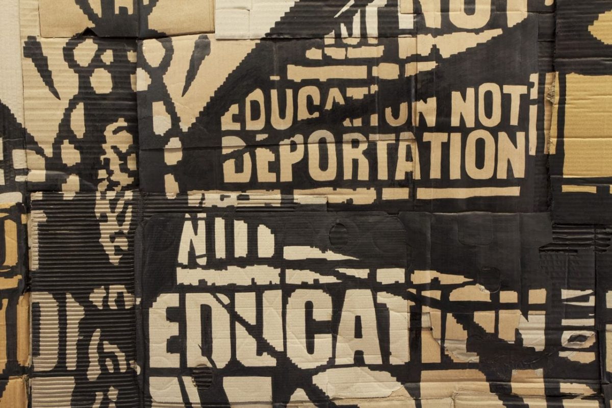 <i>education not deportation</i>, 2014
</br> 
(detail)>