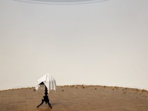 <i>le prix marcel duchamp</i>, 2013
</br>
installation view, musée des beaux-arts de libourne, libourne