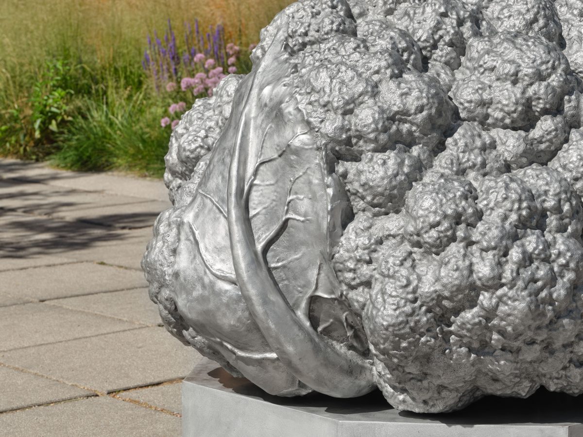 <i>Cauliflower Sundial</i>, 2025
</br>
(detail)>