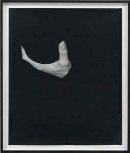 <i>hand on body (breast)</i>, 2012
</br>
silver gelatin print, 60,9 x 50,8 cm / 24 x 20 in