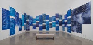 <i>#sweetjane</i>, 2014
</br> 
installation view, pitzer college art galleries and pomona college museum of art, claremont