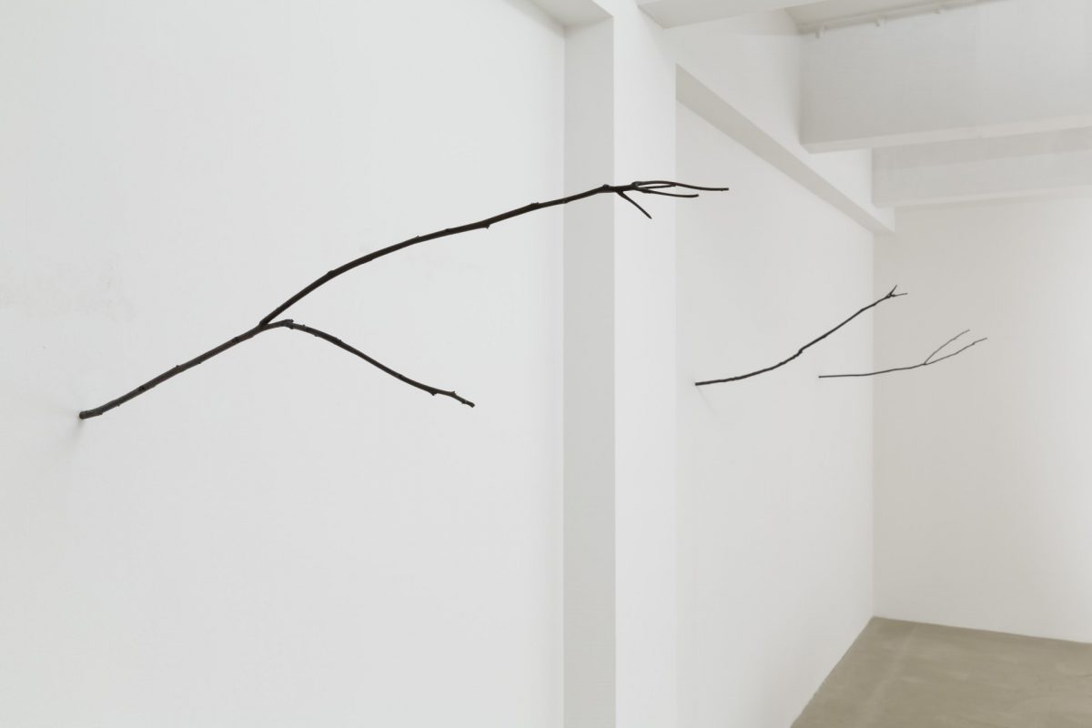 <i>the sumac is like the cherry blossom branch</i>, 2013
</br>
installation view, Kaufmann Repetto, milan>