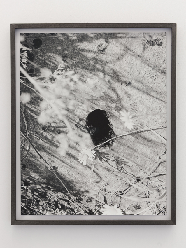 <i>flowers/hole</i>, 2011
</br>
framed photograph, 55,5 x 45,5 cm / 21.8 x 17.9 in >