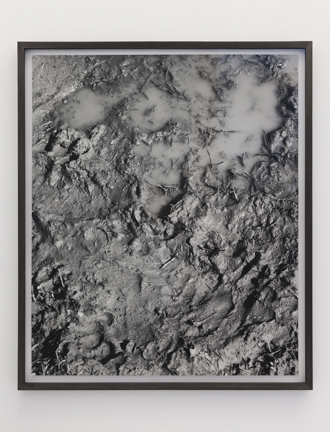 <i>mud</i>, 2011
</br>
framed photograph, 65,2 x 54,9 cm / 25.6 x 21.6 in 
>