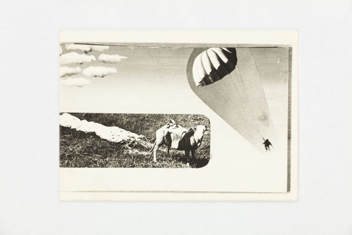 <i>senza titolo (untitled)</i>, 1930
</br>
photo print, 13 x 18 cm / 5.1 x 7.1 in
>