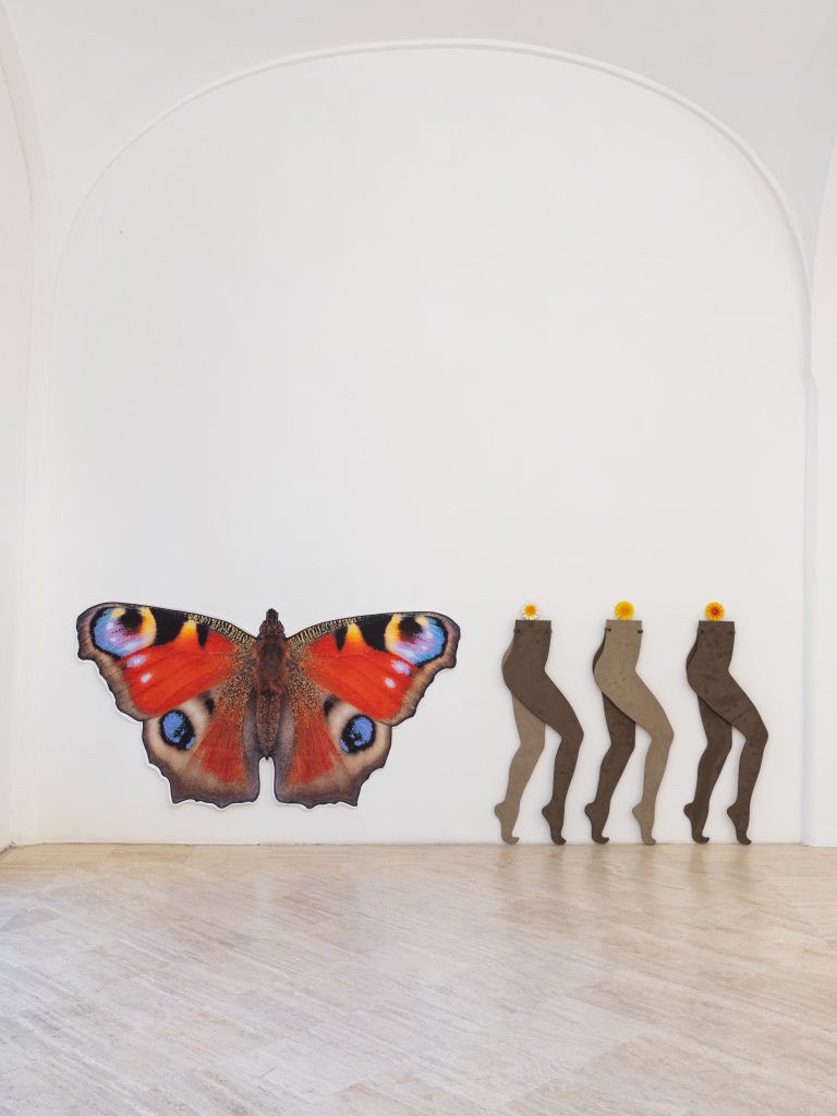 <i>Anthea Hamilton, Soft You</i>, 2025
</br> installation view, Fondazione Memmo, Rome>