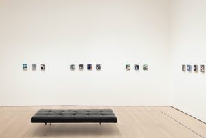 <i>Surrounds: 11 Installations</i>, 2019
</br>
installation view, moma, New York