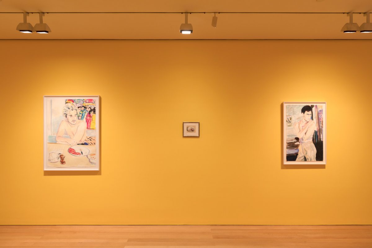 <I>nicolas party: pastel</I>, 2019
</br>
installation view, the flag art foundation, new york>