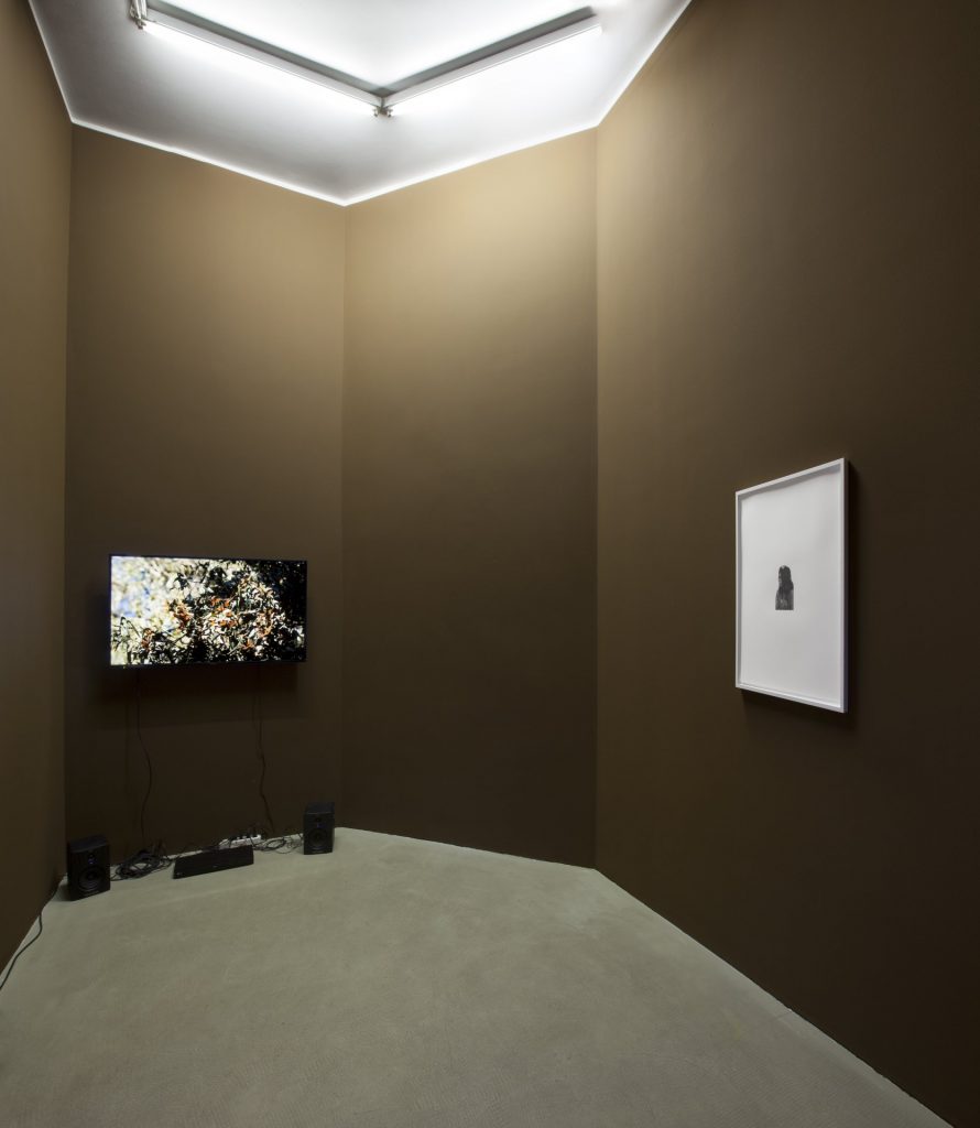 <i>self-determination</i>, 2015</br>installation view, kaufmann repetto, milan