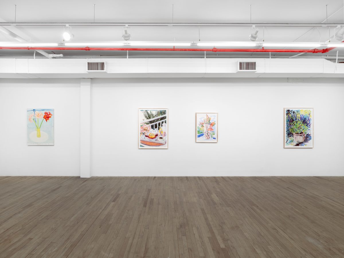 <i>Not So Still (1984-2026)</i> 2026 </br>
installation view, kaufmann repetto, New York>