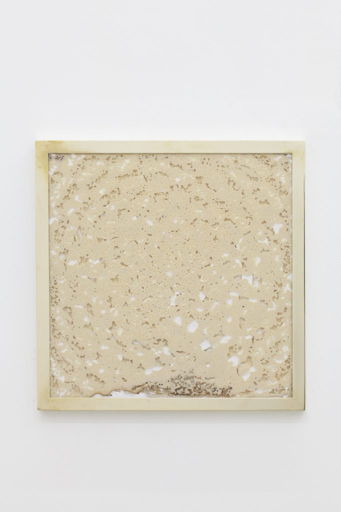 <i>a mother's mother's mother</i>, 2012</br>
sourdough, engraved polyeurithane, brass</br> 50.5 x 50.5 cm