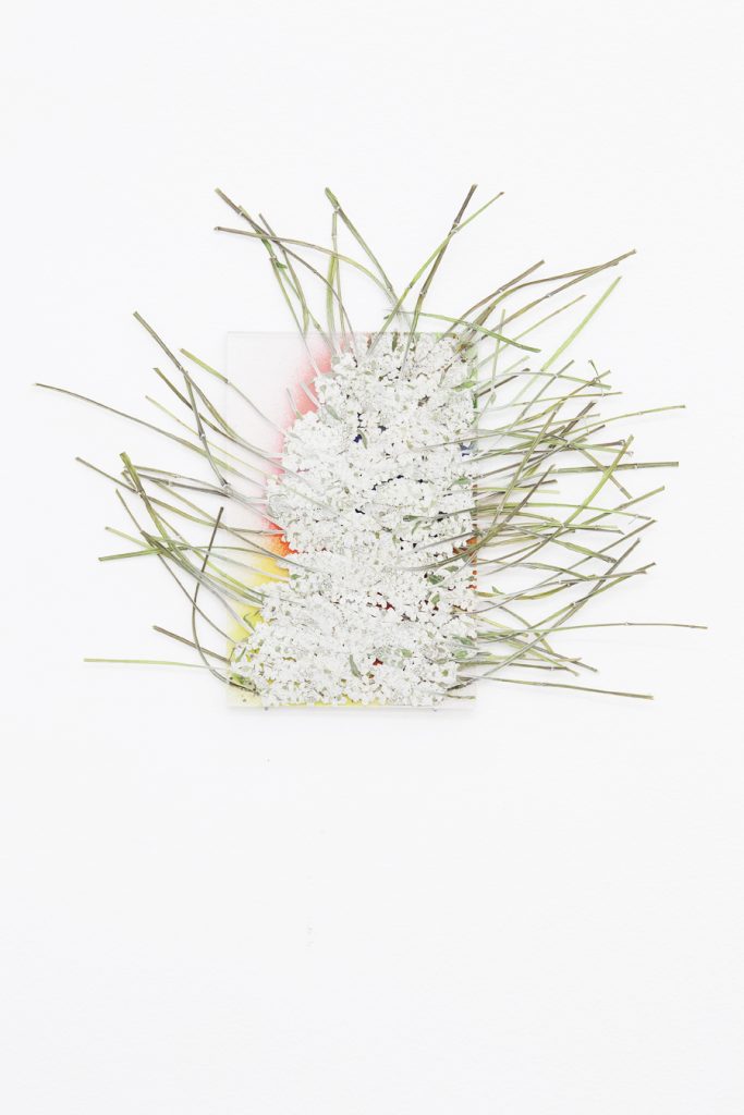 <i>by way of pressed white salvia</i>, 2012</br>
pressed flowers, spray paint, glass</br>25 x 17 cm