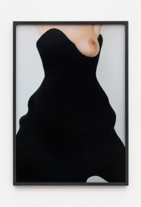 <i>dress</i>, 2016</br>
inkjet print</br>26 x 18 inches / 66 x 45.7 cm