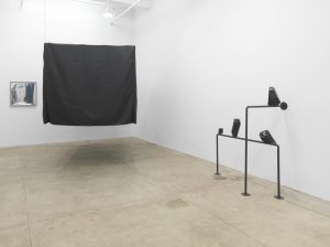 <i>cracking nuts</i>, 2014</br>installation view at kaufmann repetto, new york