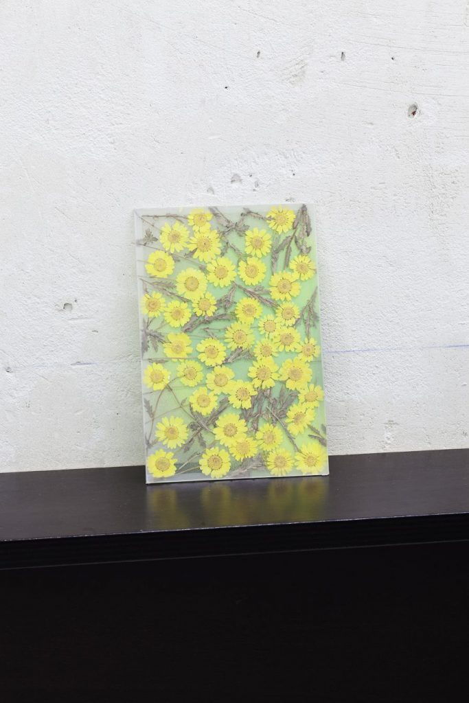 <i>by way of pressed yellow daisies</i>, 2012</br>
pressed flowers, spray paint, glass</br>25 x 17 cm