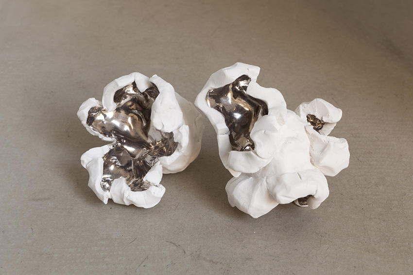 pae white, companions, 2011
southern ice porcelain, platinum, variable dimensions
