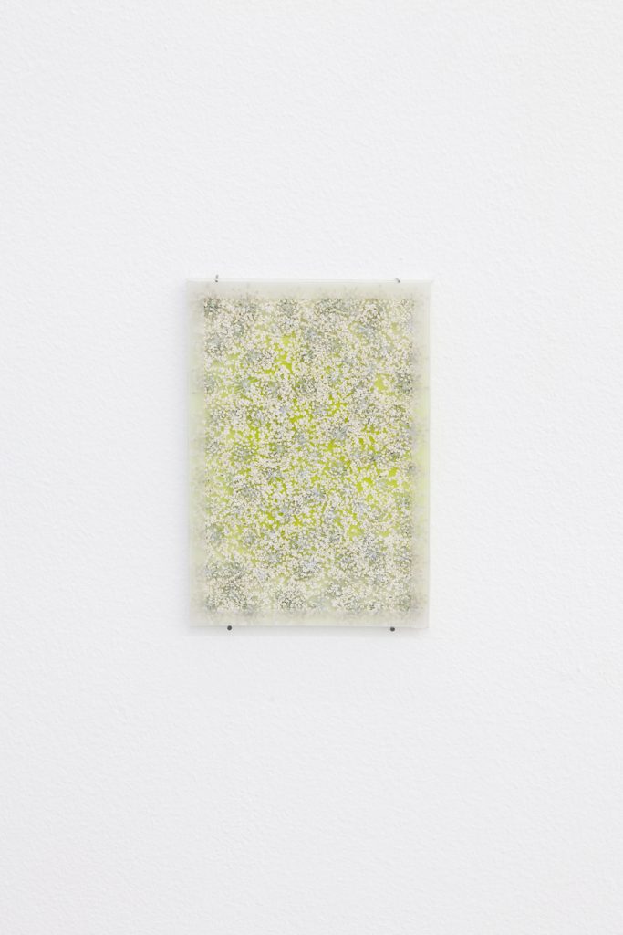 <i>by way of pressed pink queen anne's lace</i>, 2012</br>
pressed flowers, spray paint, glass</br>15 x 10 cm