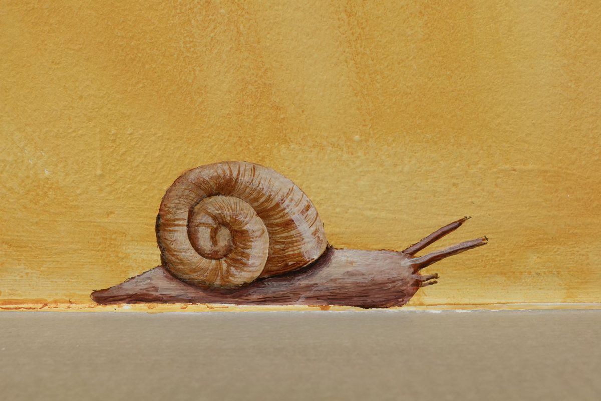 snails' chapel, installation view, kaufmann repetto, milan, 2015