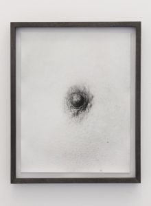 <i>nipple</i>, 2011</br>
framed photograph</br>40,6 x 32,8 cm / 16 x 13 in