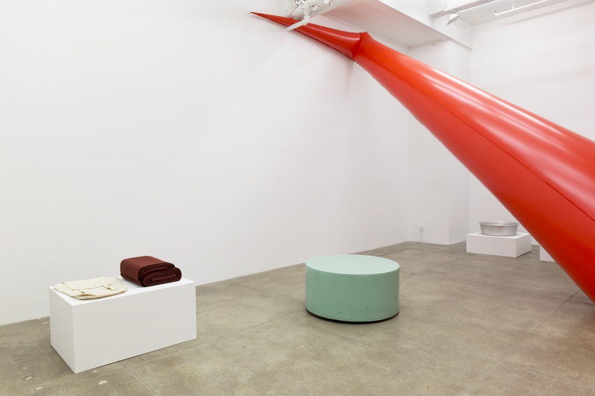<I>the bfg</I>, 2018
</br> 
installation view, kaufmann repetto, new york