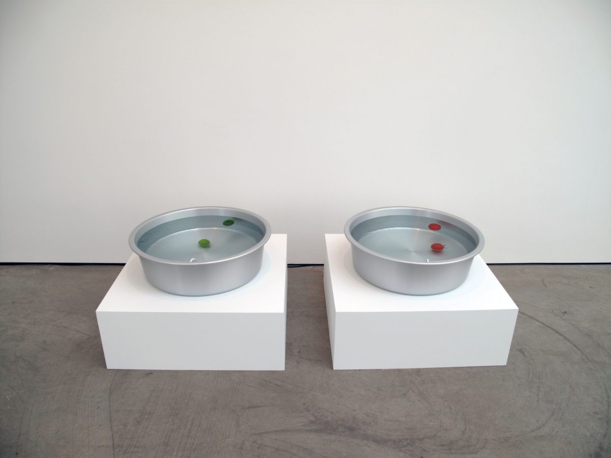 Shimabuku
</br>
<I>Something that Floats / Something that Sinks</I>, 2010
</br>
two aluminum tubs, water, two tomatoes, two limes, two pedestals, two water streamers
</br>
pedestals: 30 x 80 x 80 cm / tubs 19 x 60 cm
</br>
pedestals: 11.8 x 31.5 x 31.5 inches / tubs 7.5 x 23.6 inches